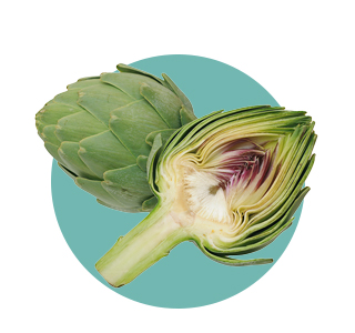 Artichoke